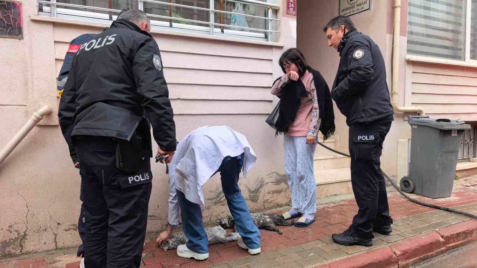 bursada yanginda can pazaricocuklar tahliye edildi kediler kurtarildi 4 bbj1kMkW