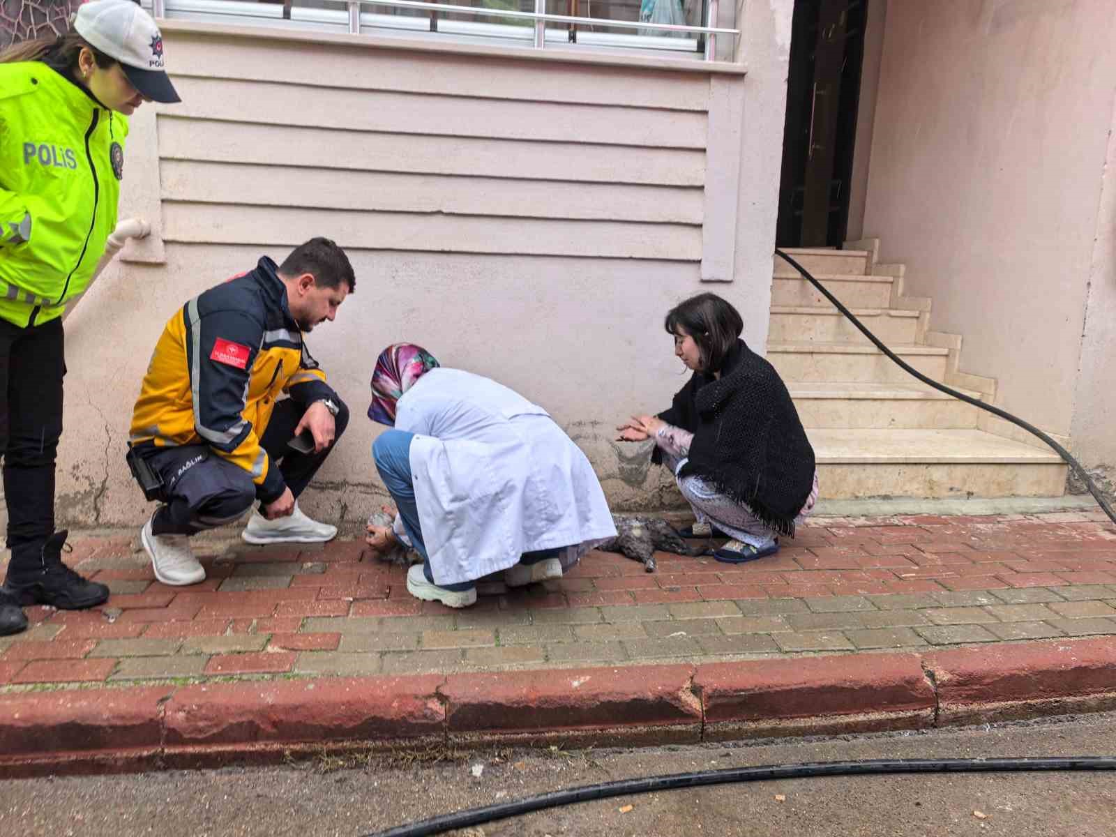 bursada yanginda can pazaricocuklar tahliye edildi kediler kurtarildi 6 AtUYw3jr