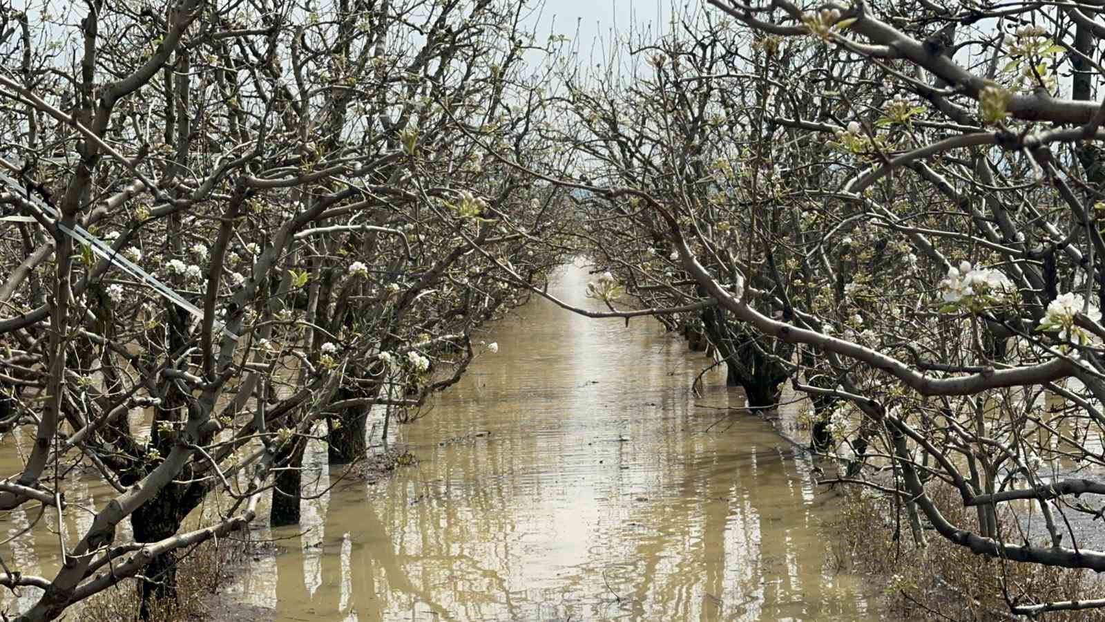 bursada yuzlerce donum seftali ve armut bahcesi su altinda 1 8dAermH3