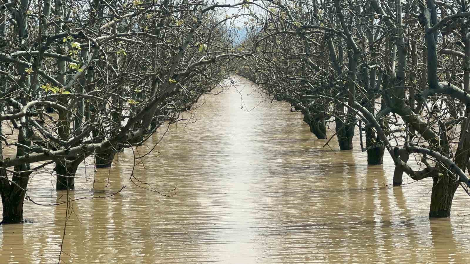 bursada yuzlerce donum seftali ve armut bahcesi su altinda 2 tbfuMiIa