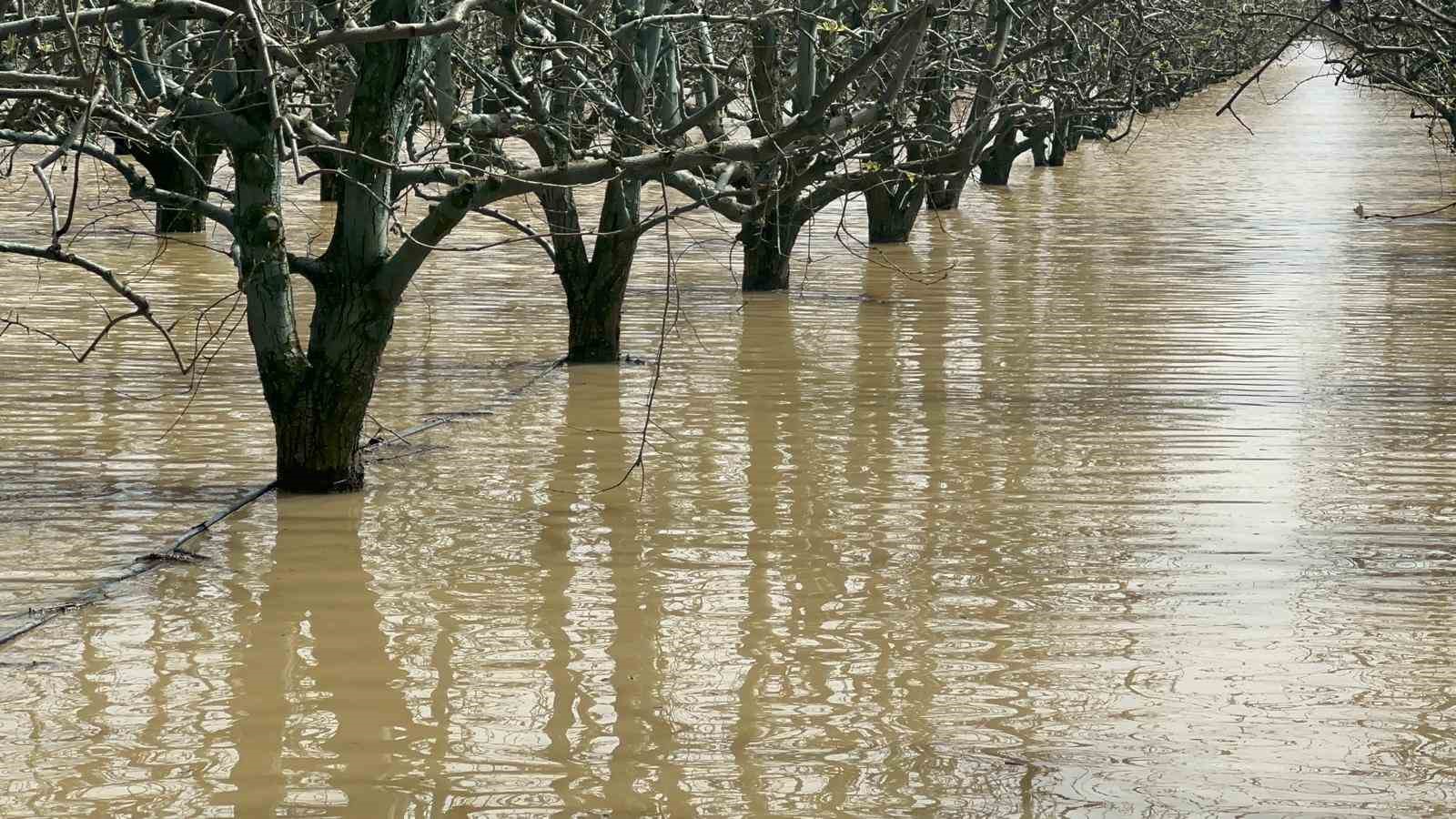 bursada yuzlerce donum seftali ve armut bahcesi su altinda 5 1F69AJh6