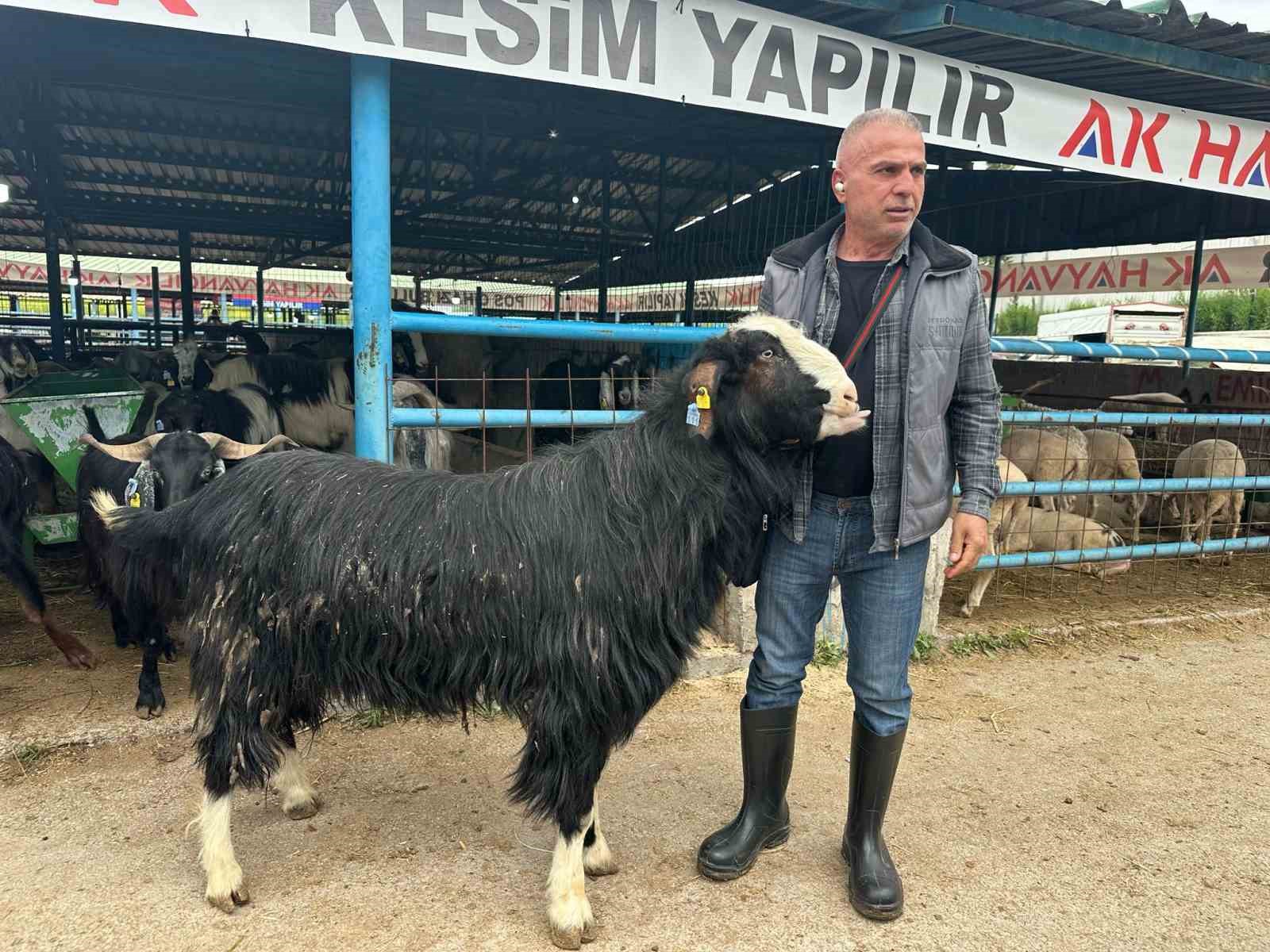 bursadaki kurban pazarinin sampiyon kecisi 47 bin liradan satildi 0 99C3GAVF