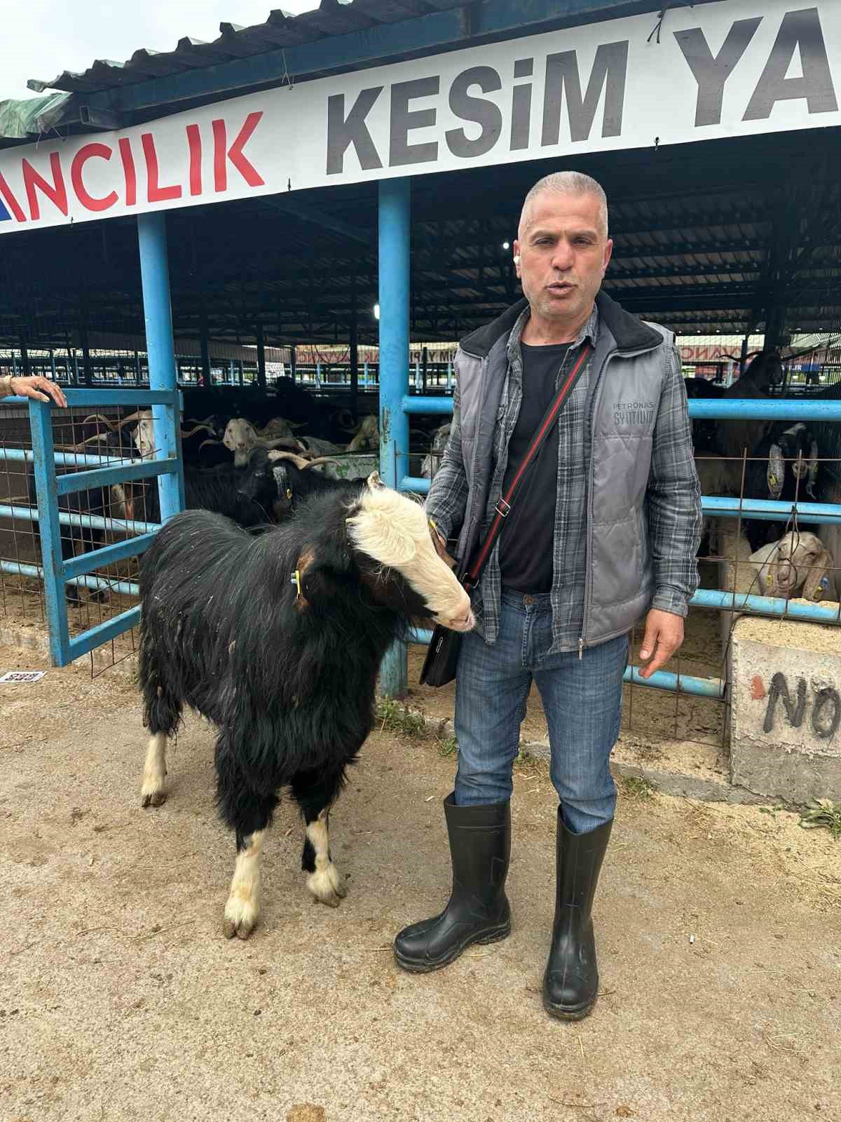 bursadaki kurban pazarinin sampiyon kecisi 47 bin liradan satildi 1 gTvyj5sw