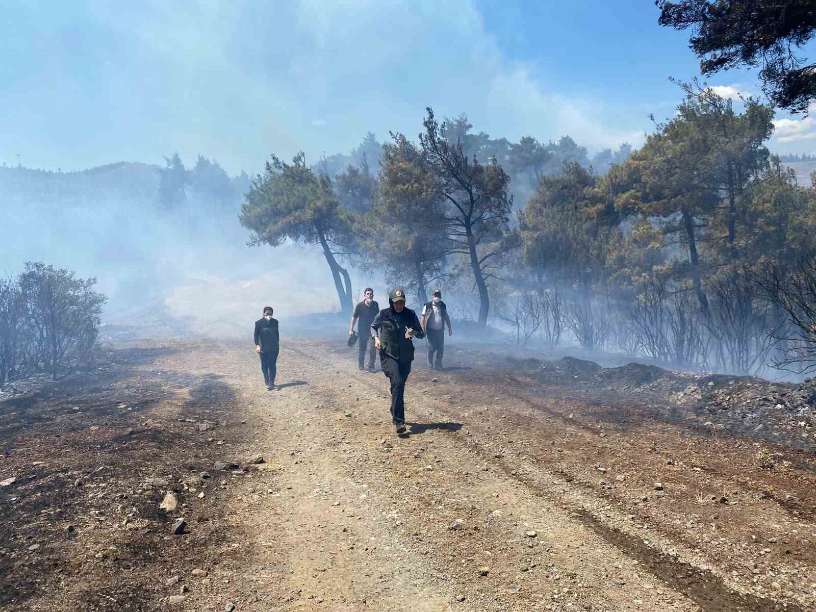 Bursa’daki orman yangını söndürüldü, soğutma çalışmaları sürüyor 4 bursadaki orman yangini sonduruldu sogutma calismalari suruyor 0 A2BsKju4