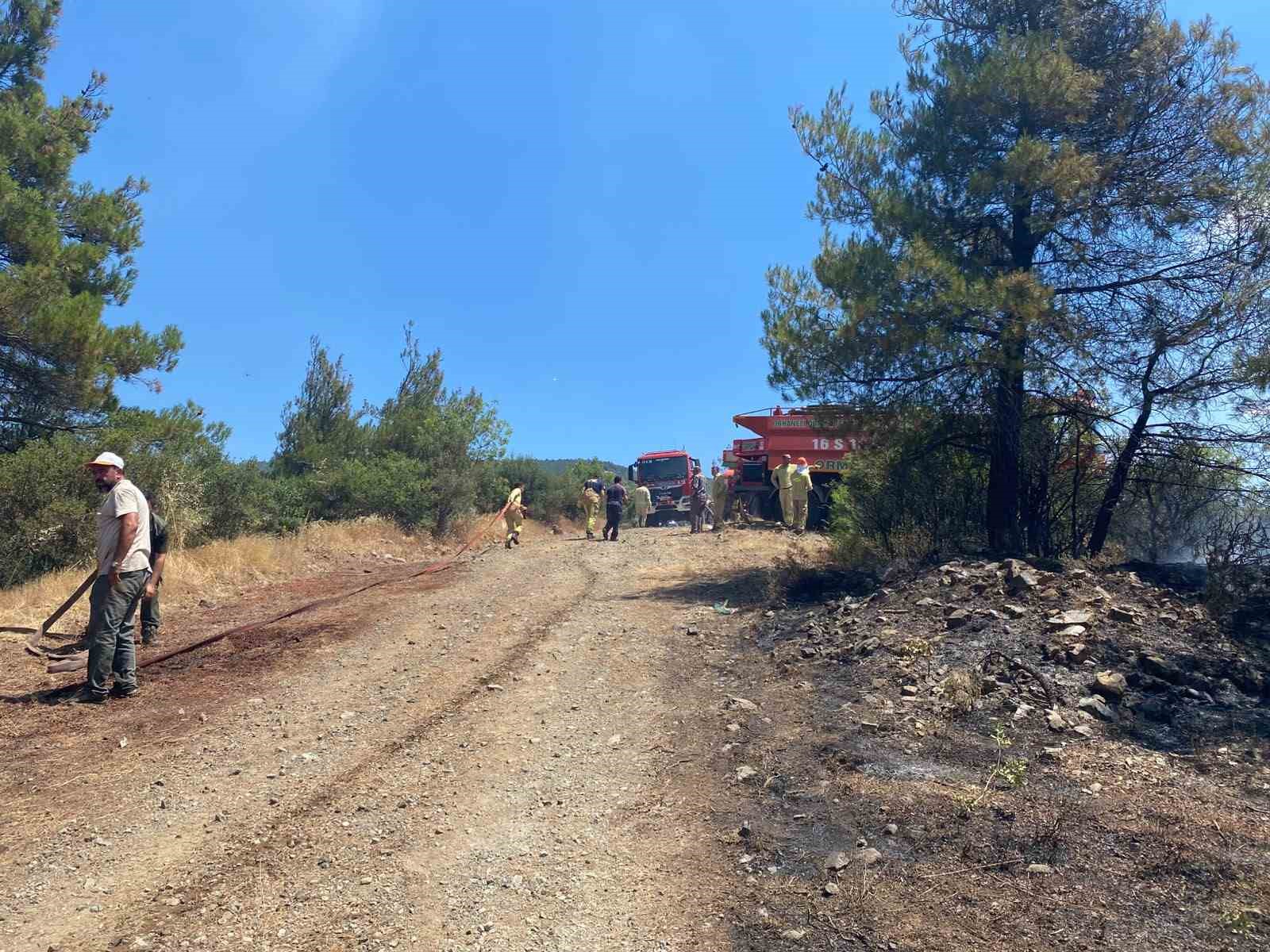 Bursa’daki orman yangını söndürüldü, soğutma çalışmaları sürüyor 5 bursadaki orman yangini sonduruldu sogutma calismalari suruyor 1 H4zOQ1GH