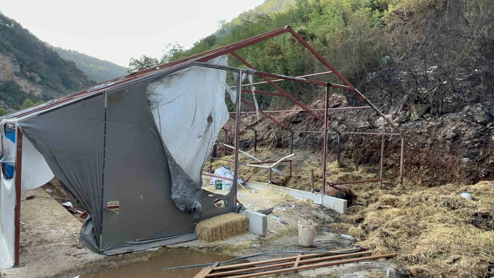 bursadaki orman yangininda 1 kisi gozaltina alindi 0 Y1HOmvBi
