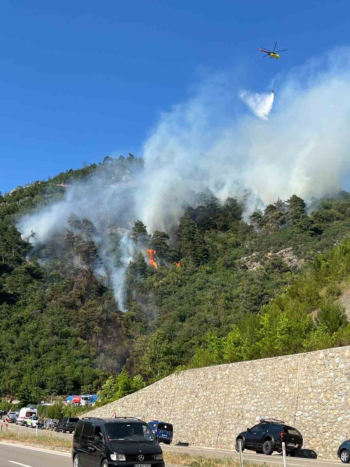 bursadaki orman yangininda 1 kisi gozaltina alindi 2