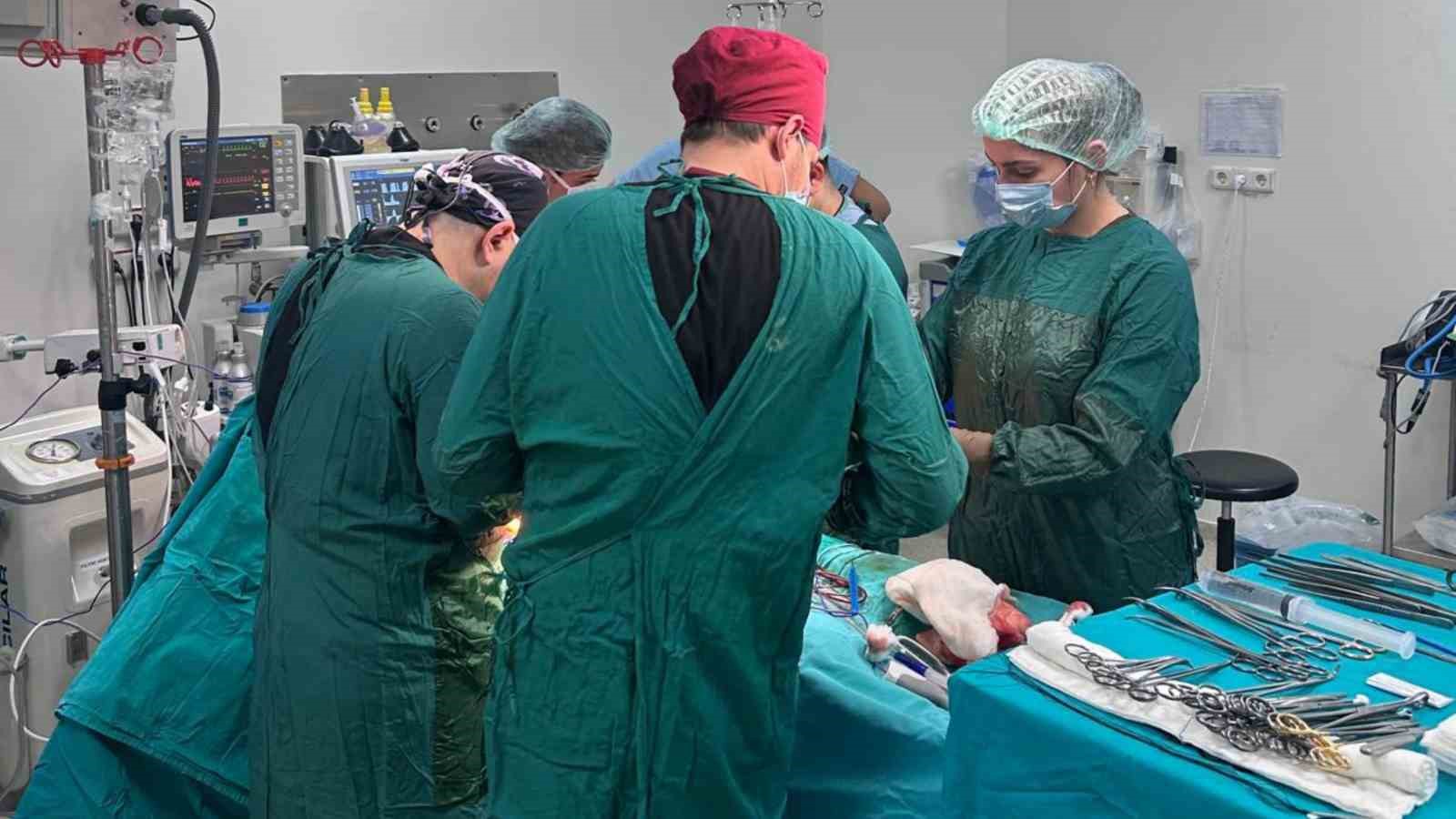bursali doktor olumuyle 5 hastaya umut oldu 0 1OWPJXjh