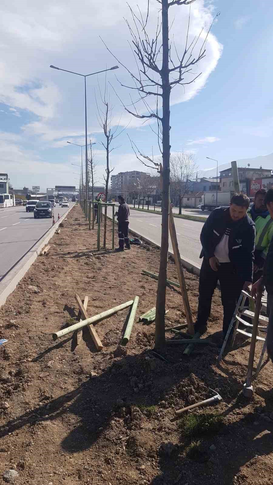 bursanin 700 yillik mirasi 700 cinarla kok saliyor 1 KN74ihpv