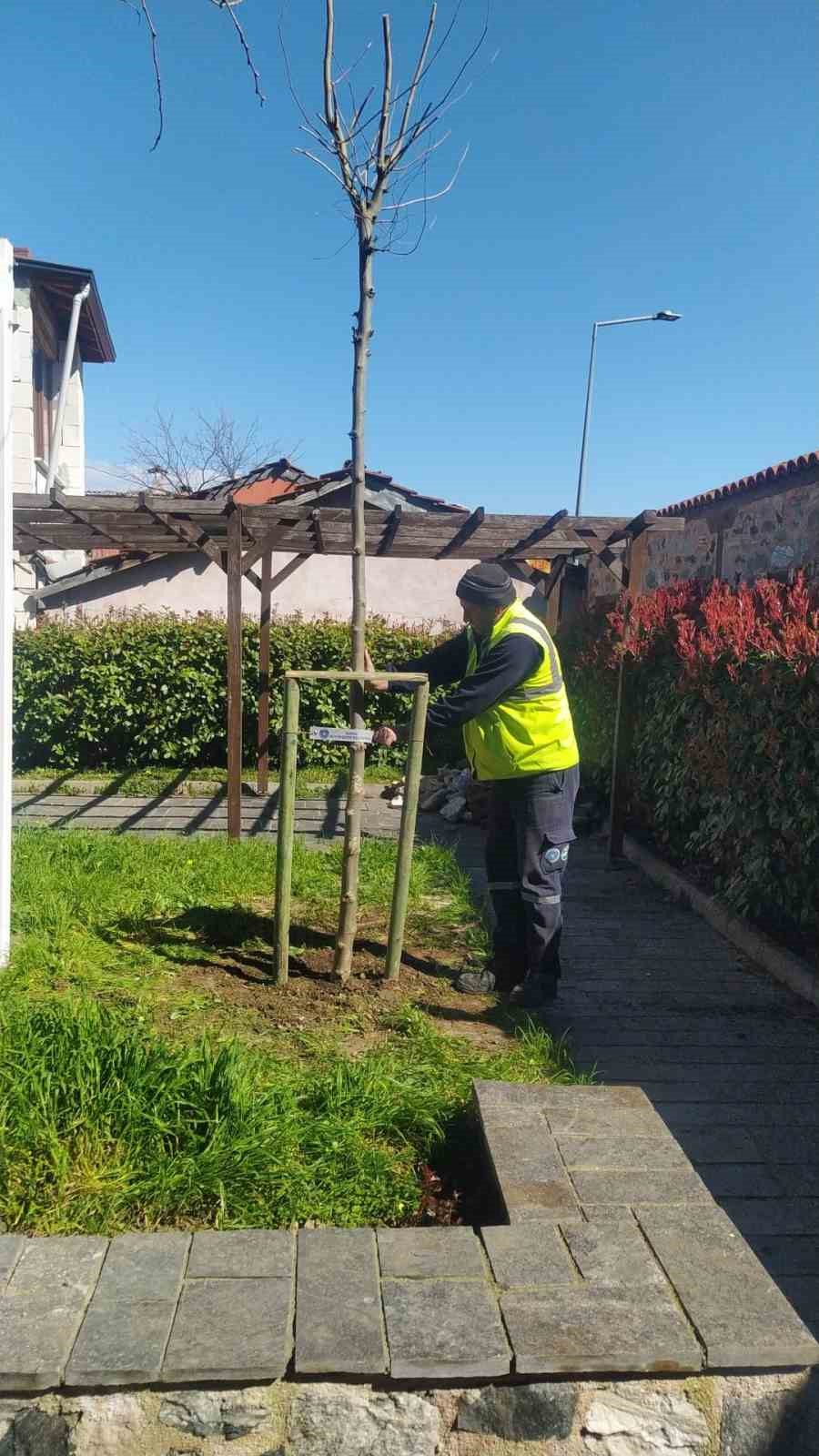 bursanin 700 yillik mirasi 700 cinarla kok saliyor 2 EiiFgAKQ