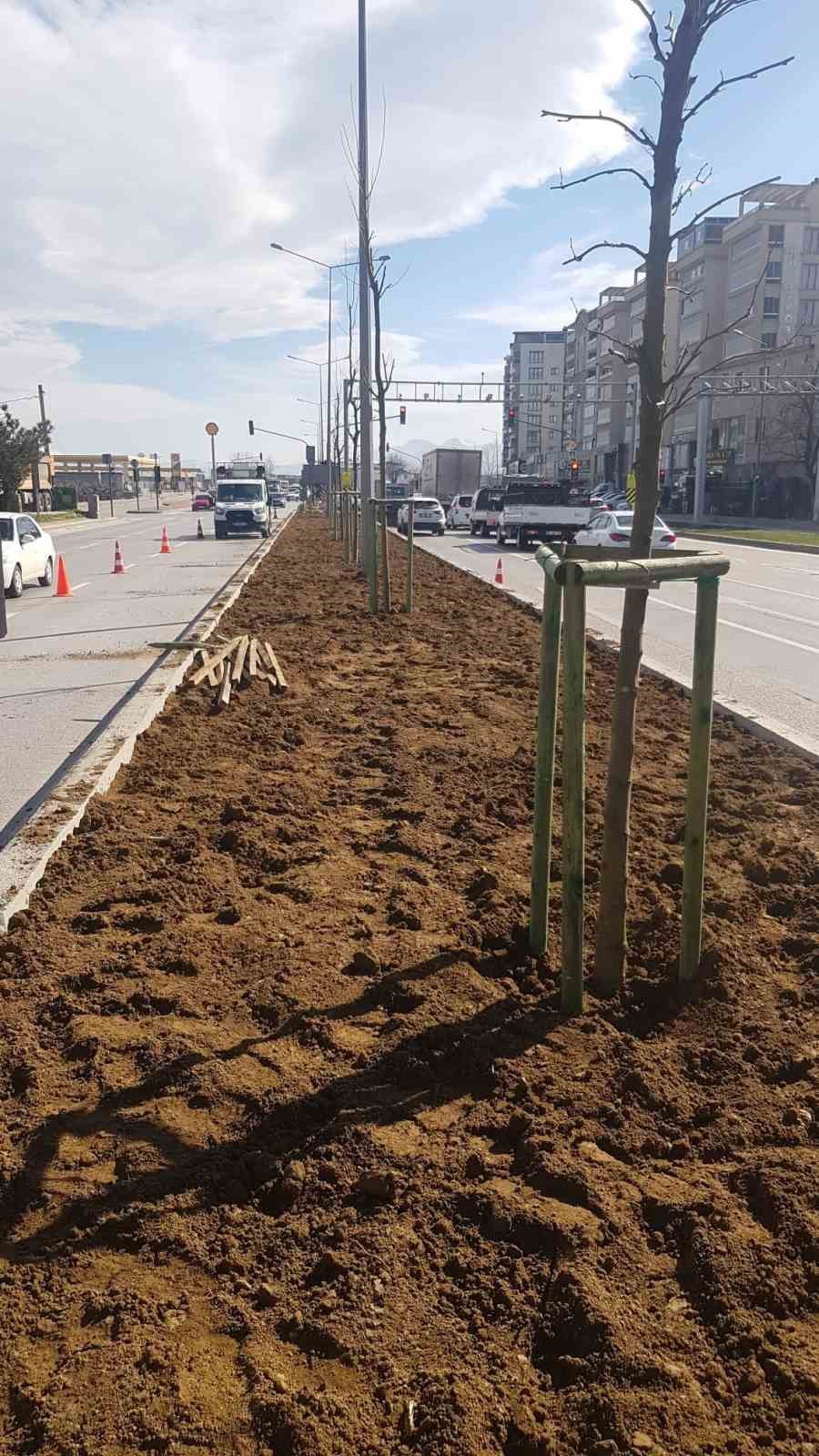 bursanin 700 yillik mirasi 700 cinarla kok saliyor 3 9zVkKGNL