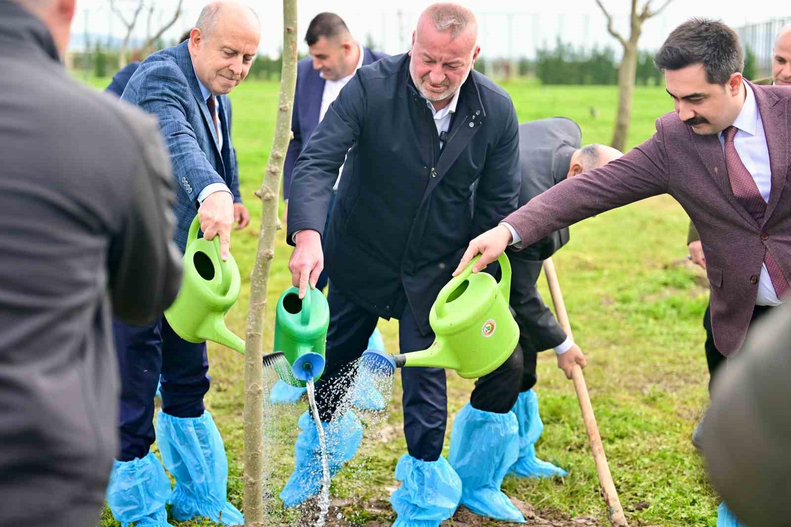 bursanin fethinin 700uncu yilinda karacabeyde fidanlar toprakla bulustu 4 XylNVluK