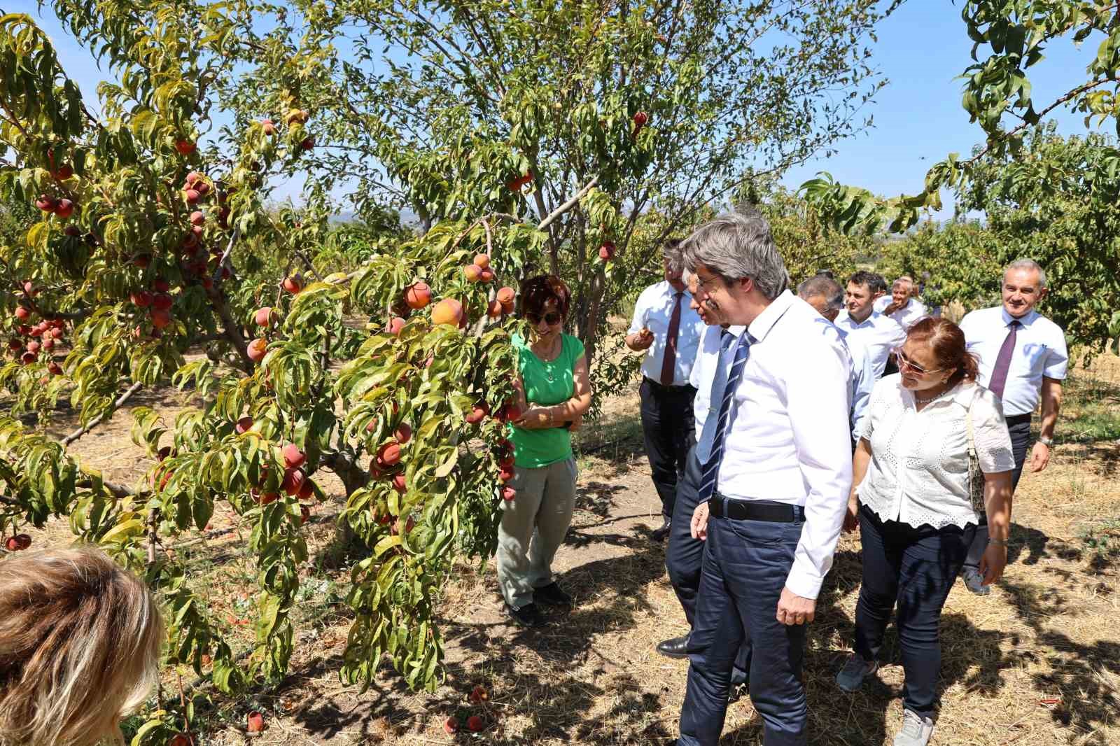 buu ziraat ve ormancilik alaninda dunyada ilk 500de 0 61whVu4O