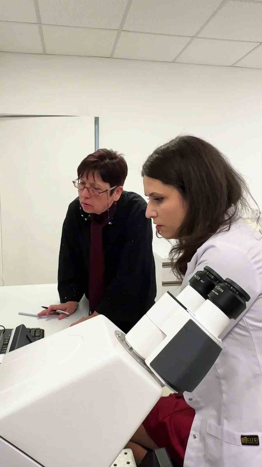 buude baslattigi pankreas kanseri projesi munih teknik universitesinde 4 JnSYRIND