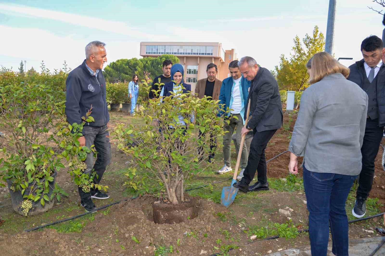 buunun 50 yil sokagi fidanlarla renklendirildi 4 Zg97Tw2K