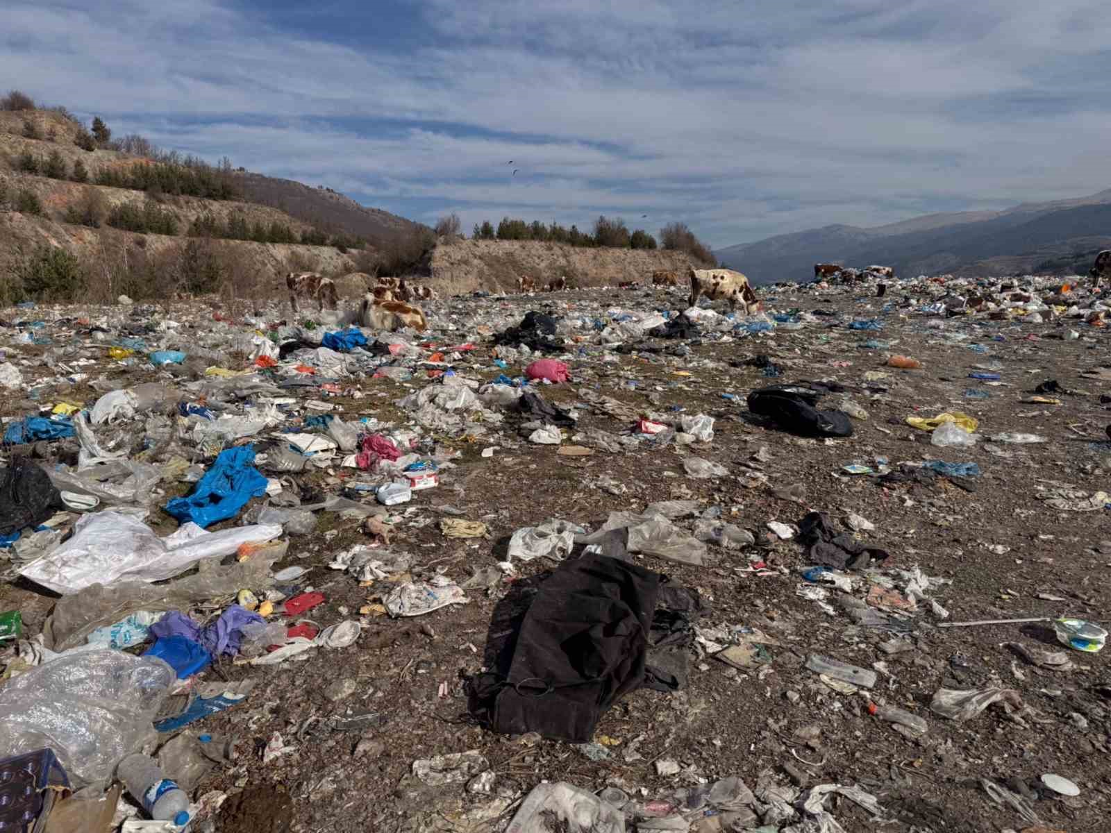 buyukbas hayvanlar coplukte besleniyor 3 pO8GB3gq