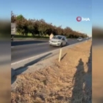 buyukcekmecede-yola-atlayan-alkollu-oldugu-ileri-surulen-kadin-trafigi-birbirine-katti-xIc6yZA5.jpg