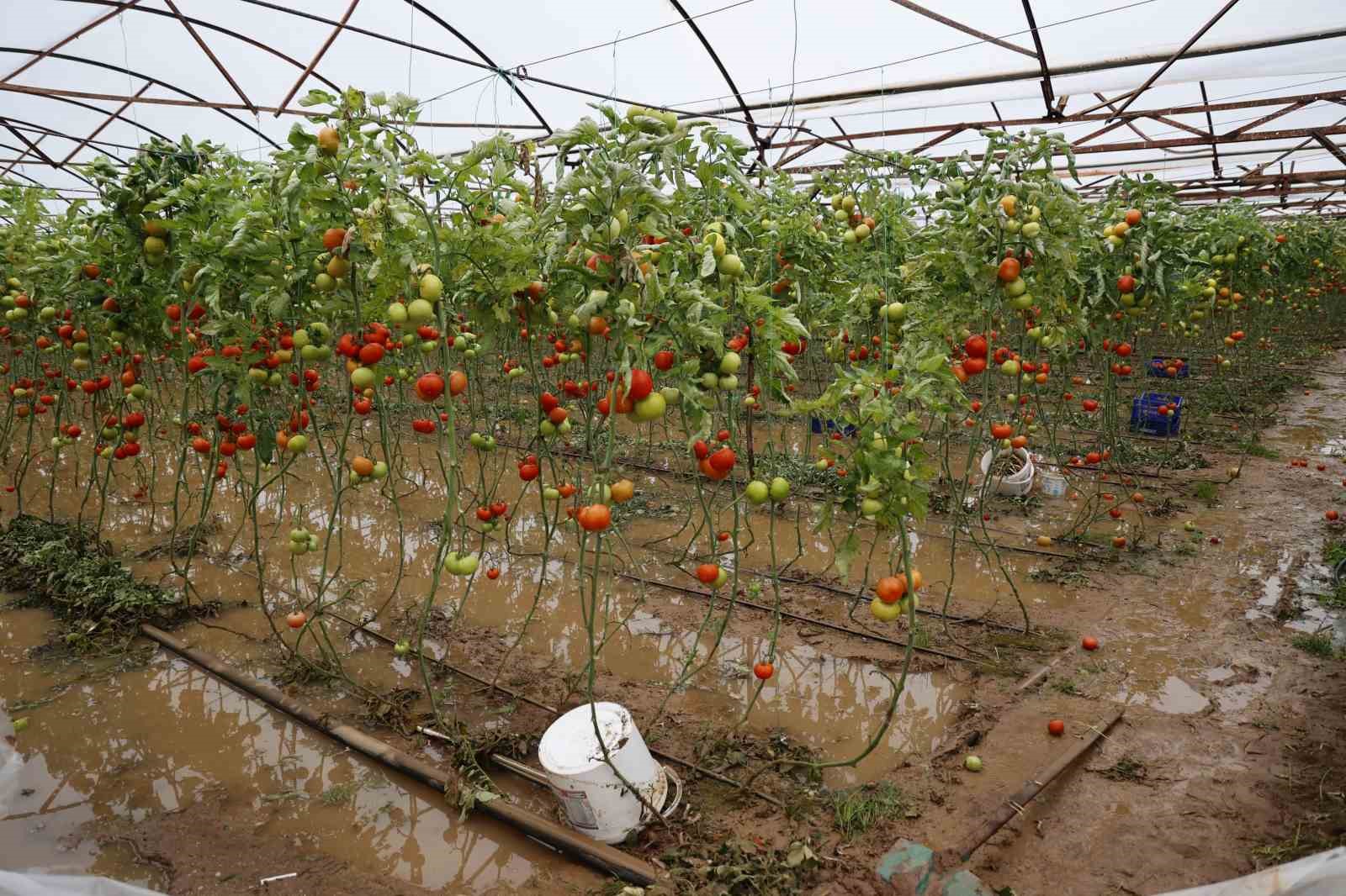 buyuksehir yagistan etkilenen 3 ilce icin hasar tespit calismasi baslatti 5 7P8wQ2a5