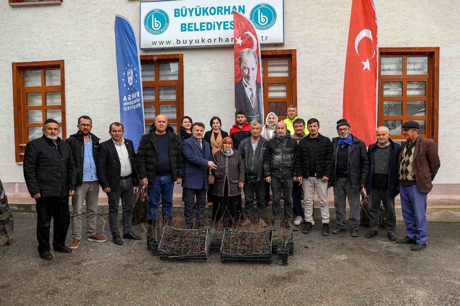 buyuksehirde ureticiye fidan ve tohum destegi 1