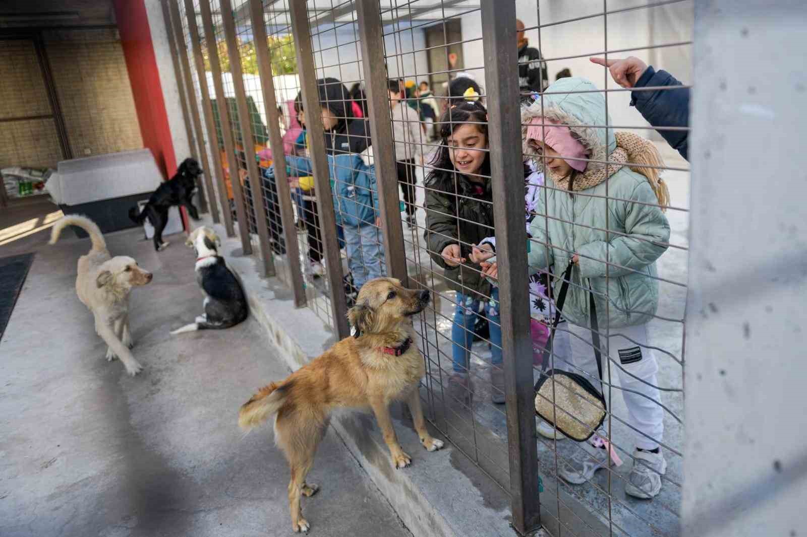 buyuksehirden dikiliye tam tesekkullu sokak hayvanlari kampusu 2 U6eu4AQY
