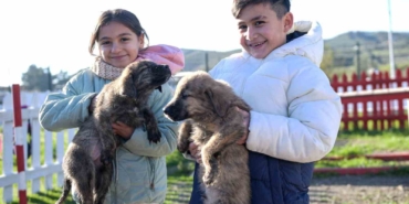 buyuksehirden-dikiliye-tam-tesekkullu-sokak-hayvanlari-kampusu-fe3wSlL4.jpg