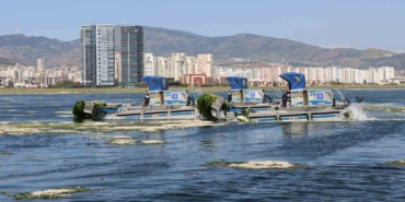 buyuksehirden-korfezde-temizlik-mesaisi-fA3Z4lkU.jpg
