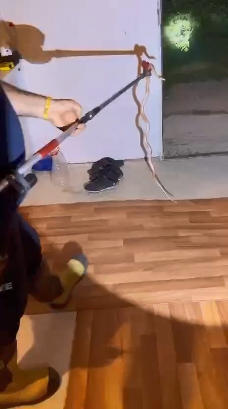 Buzdolabının içerisine giren yılanı itfaiye ekipleri çıkardı 5 buzdolabinin icerisine giren yilani itfaiye ekipleri cikardi 1 5ejBLZmZ