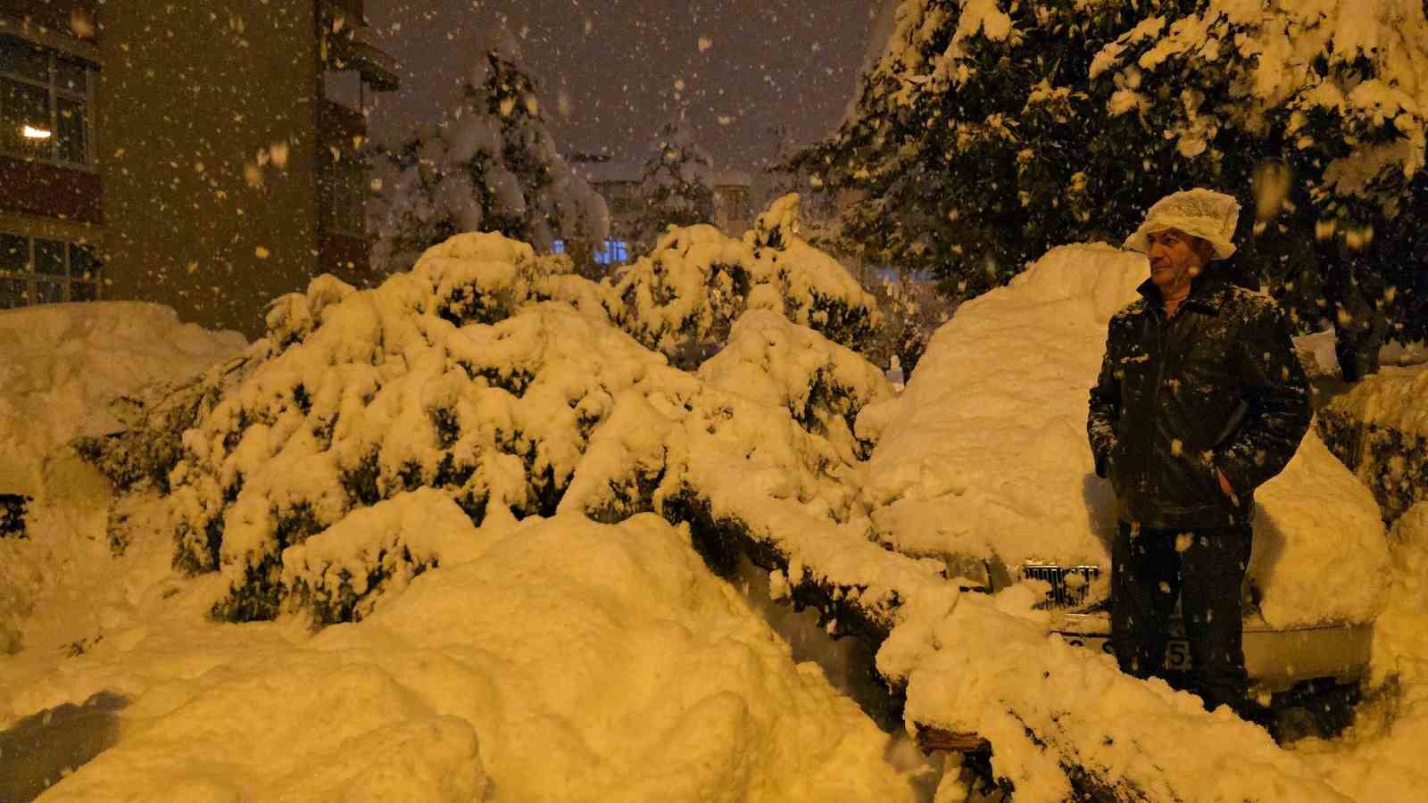 cam agaci park halindeki iki aracin uzerine devrildi 0 jBskrRj3