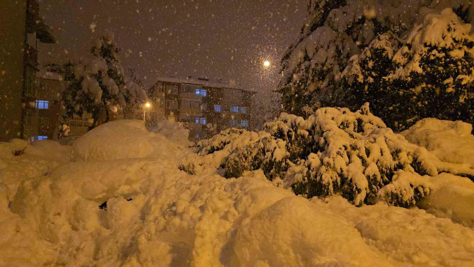 cam agaci park halindeki iki aracin uzerine devrildi 2 hGvPc9sP