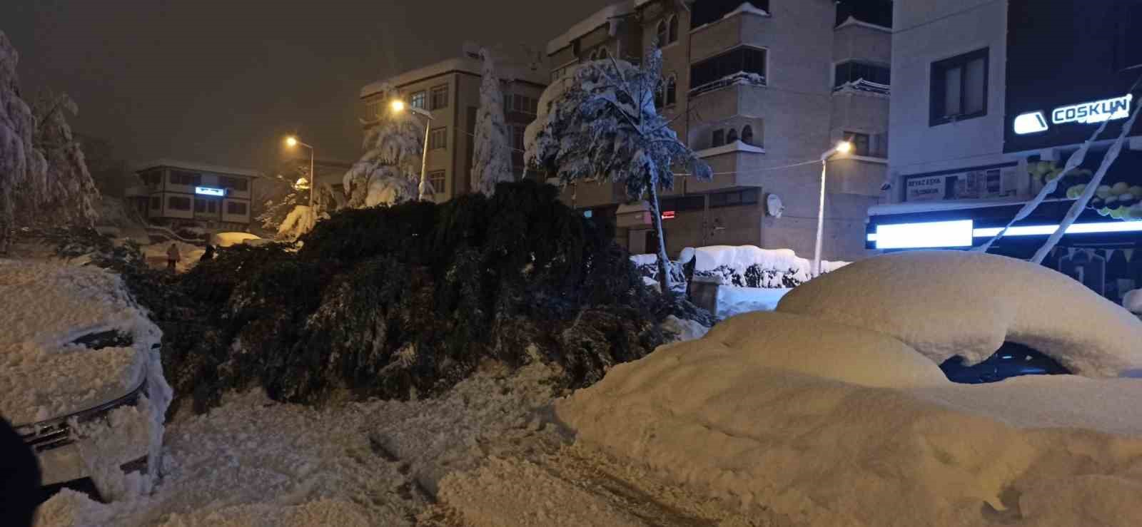 cam agaci park halindeki iki aracin uzerine devrildi 3 hw7wjn3P