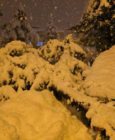 cam-agaci-park-halindeki-iki-aracin-uzerine-devrildi-lVqIuLMm.jpg