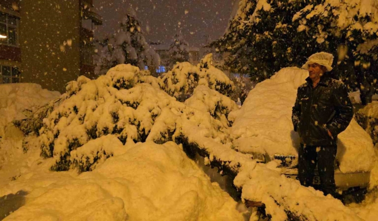 cam-agaci-park-halindeki-iki-aracin-uzerine-devrildi-lVqIuLMm.jpg