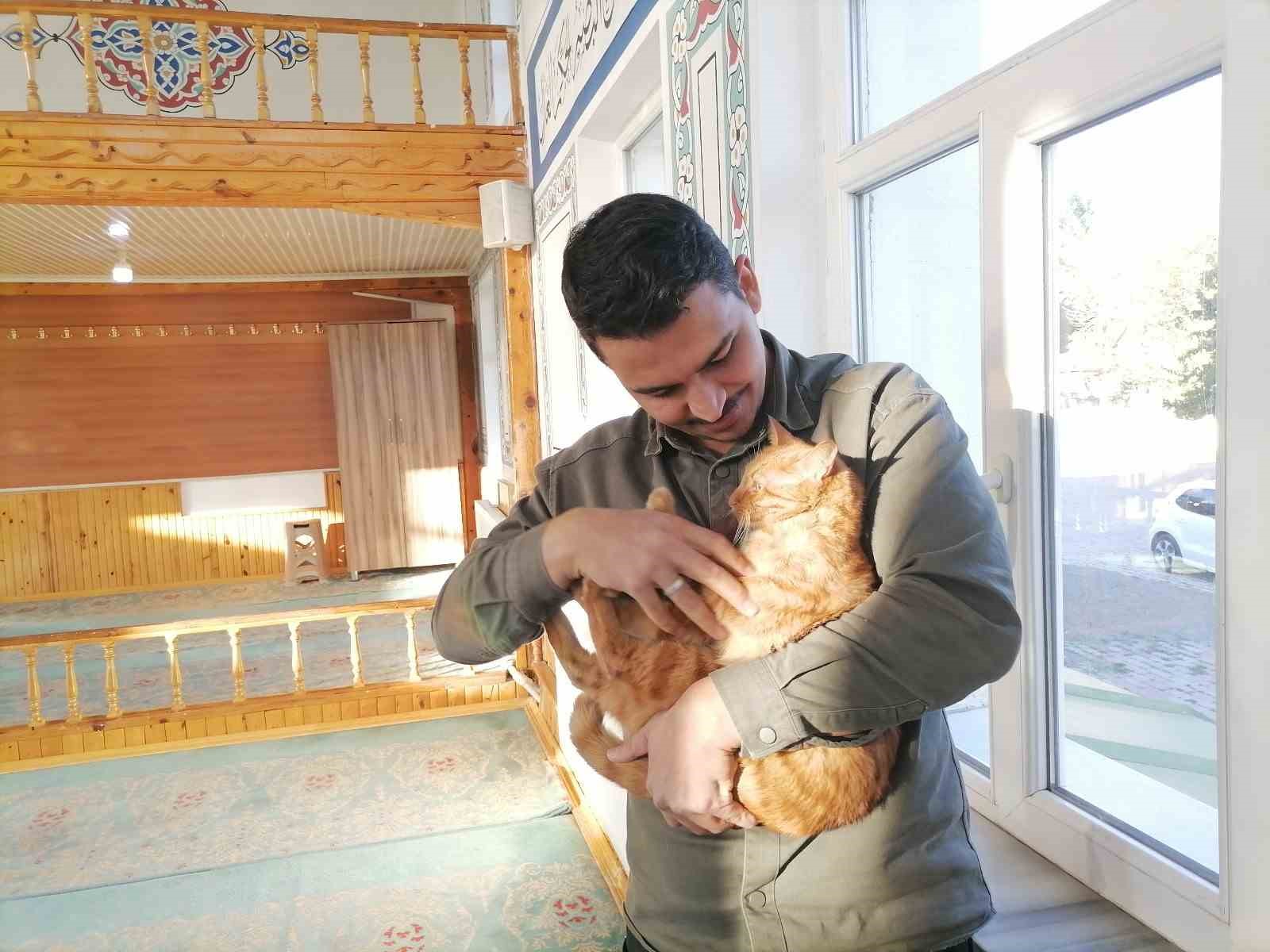 cami imami onlarca kediye bakiyor 5 TUnIaTEu