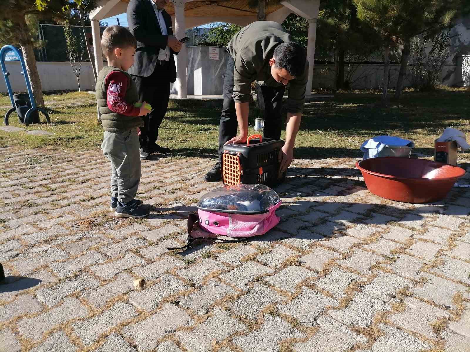 cami imami onlarca kediye bakiyor 7 gvdnawPs