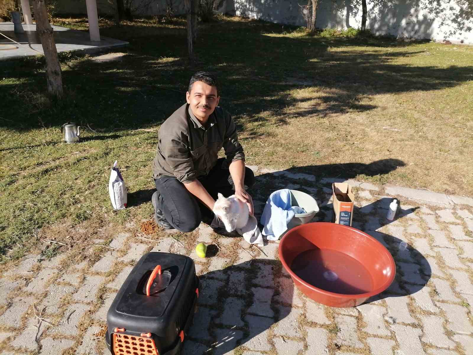 cami imami onlarca kediye bakiyor 9