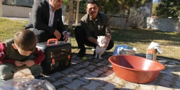 cami-imami-onlarca-kediye-bakiyor-wn9zgpJb.jpg