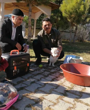 cami-imami-onlarca-kediye-bakiyor-wn9zgpJb.jpg