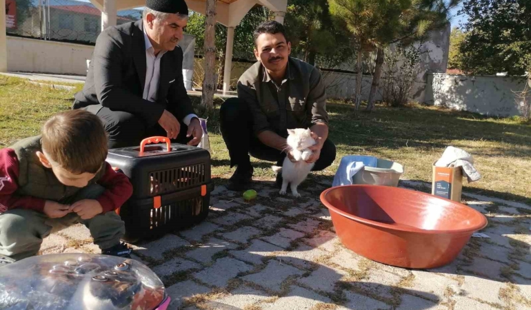 cami-imami-onlarca-kediye-bakiyor-wn9zgpJb.jpg