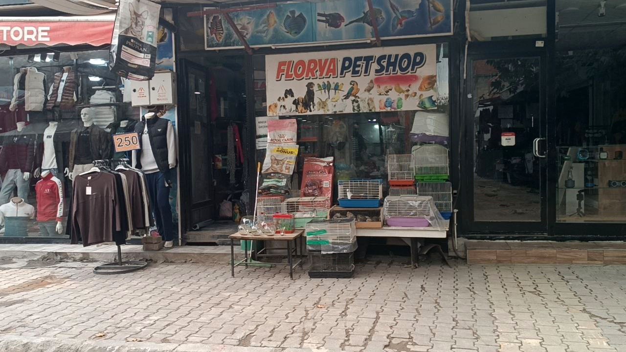 cami kirip 9 papagan caldilar 1 MjNUYrIt