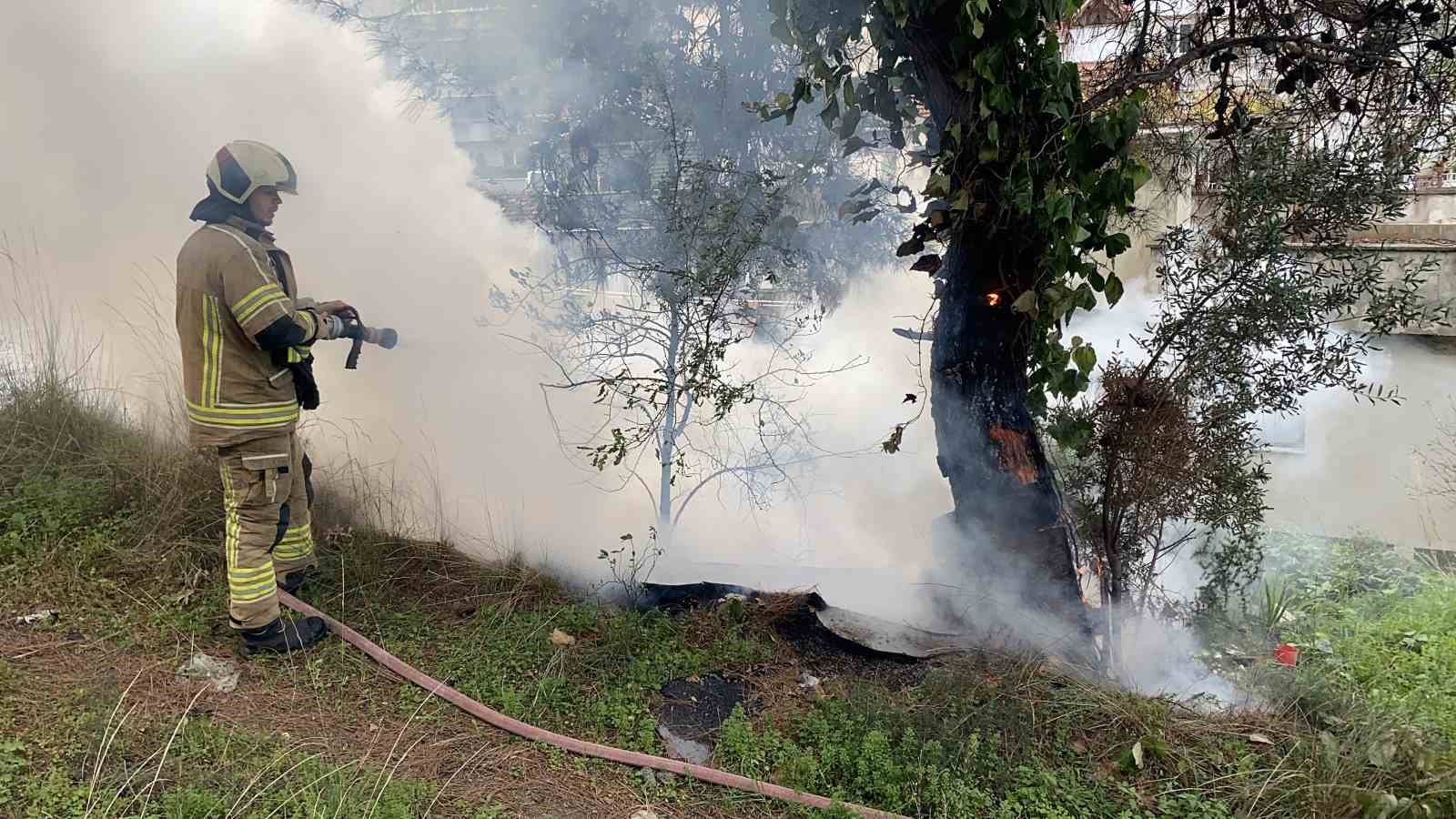 camlik alanda cikan yangin buyumeden sonduruldu 1 EOb6biUK