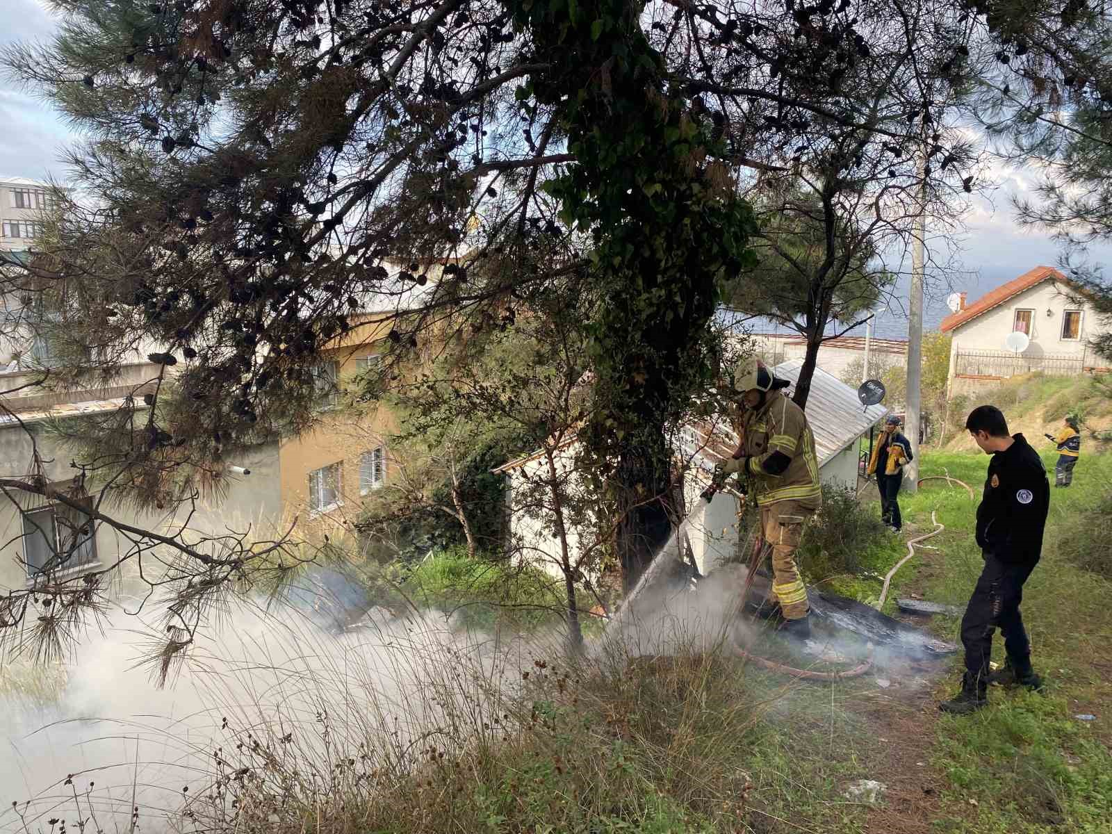 camlik alanda cikan yangin buyumeden sonduruldu 3 tkQp3yFI