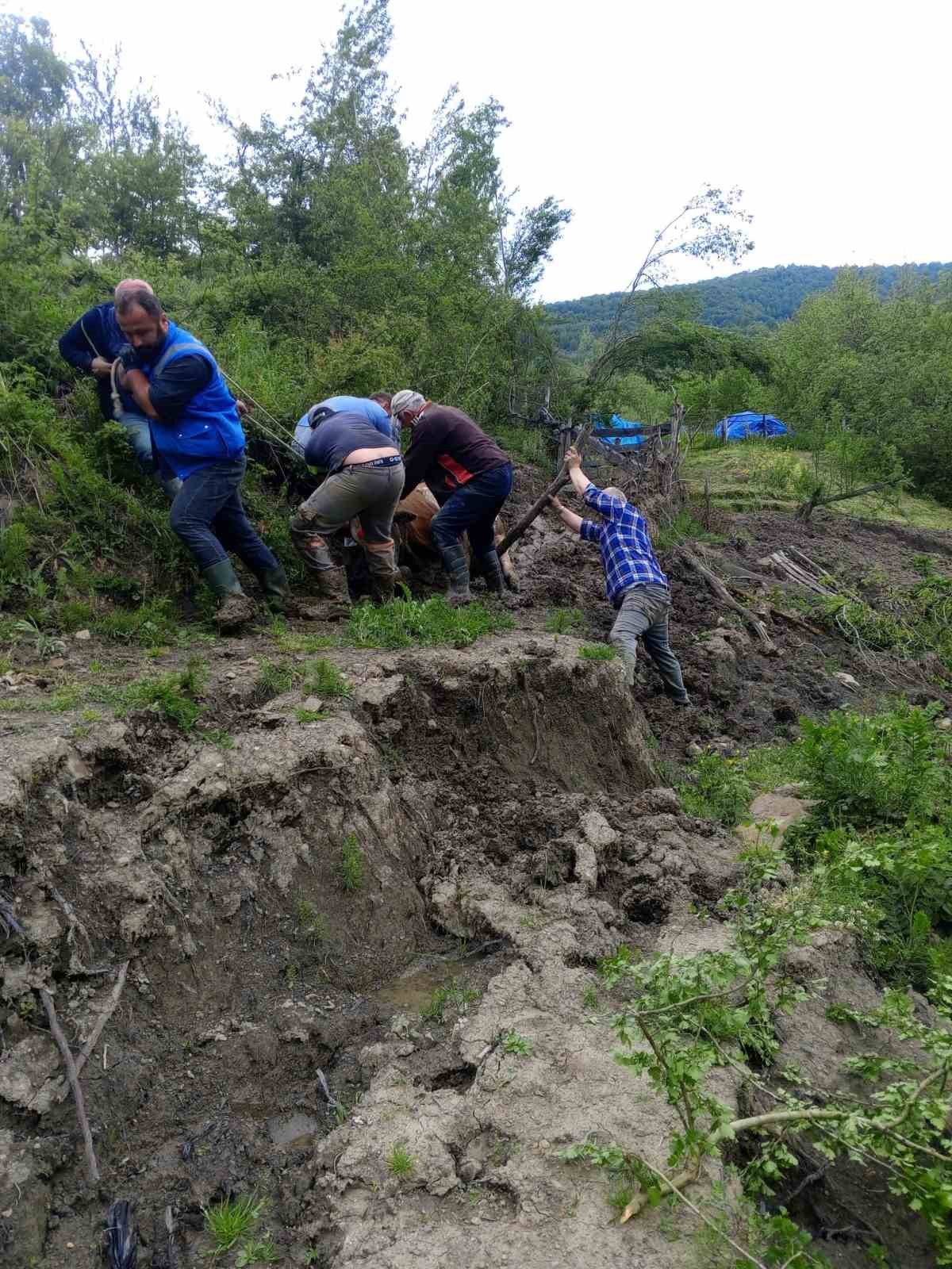 camura saplanan buyukbas hayvani vatandaslar kurtardi 3 IHsrEuur