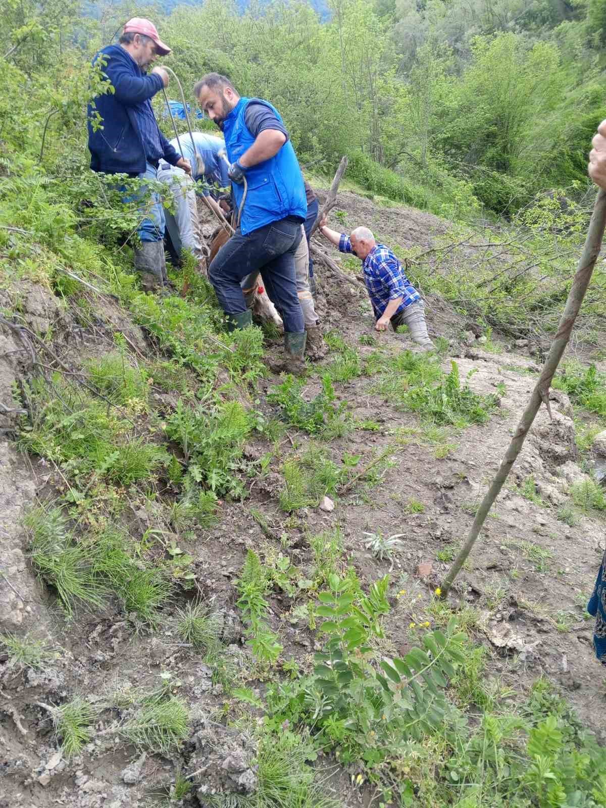 camura saplanan buyukbas hayvani vatandaslar kurtardi 4 kZJcJyc5