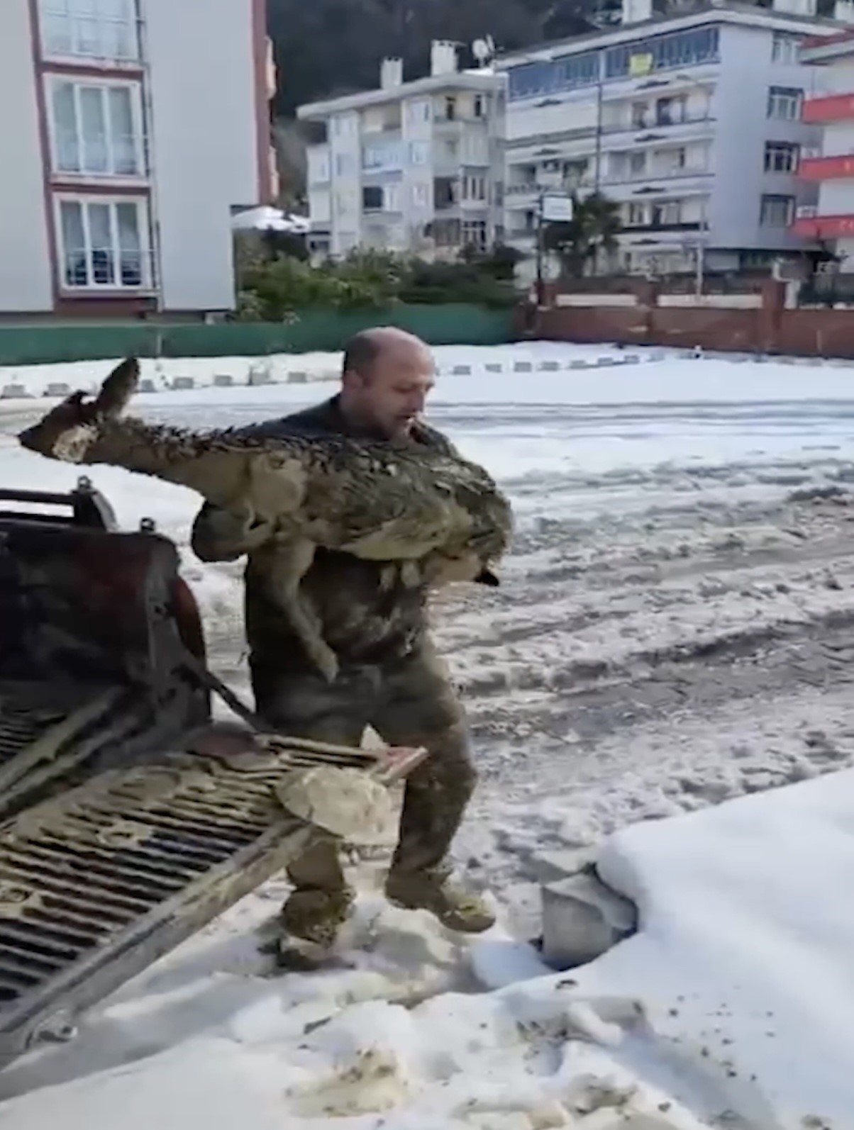 camura saplanan karaca icin ekipler seferber oldu 1 HAHOzVDf