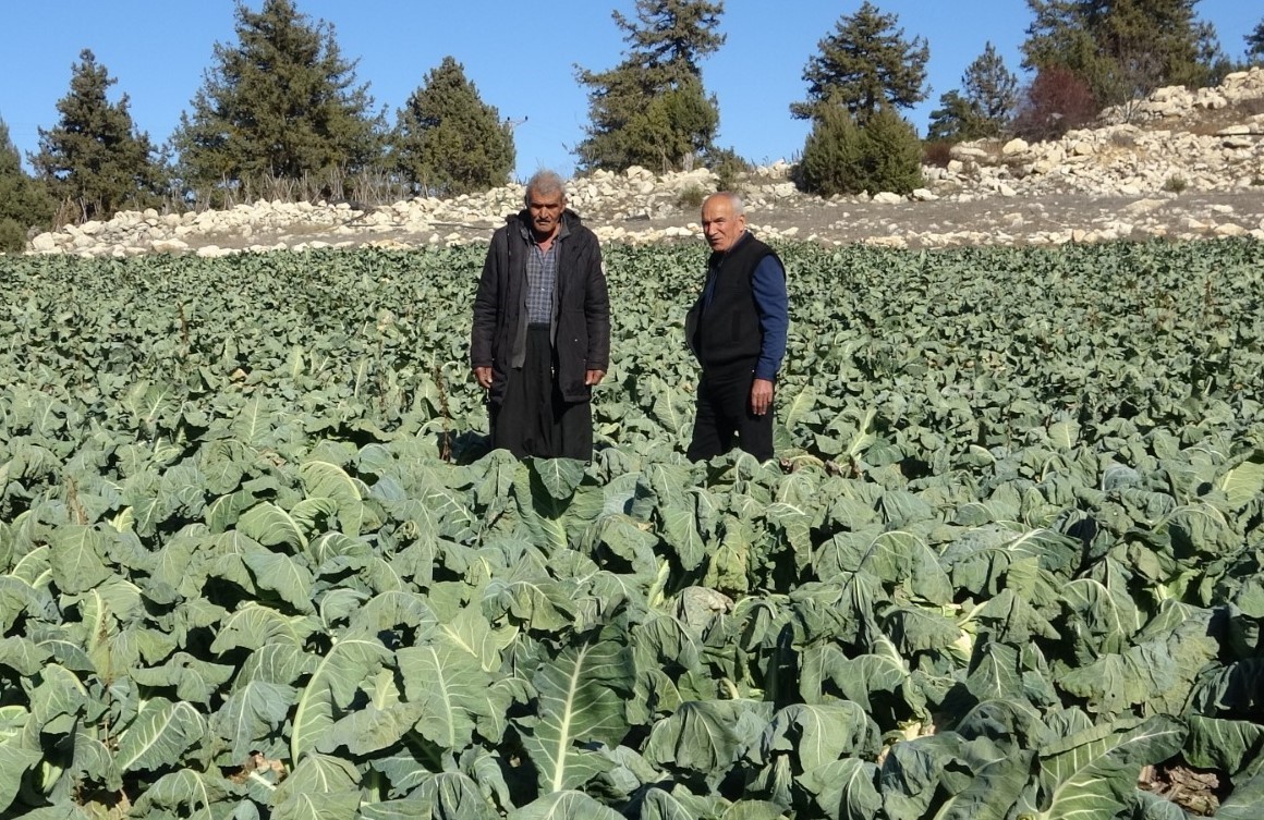 camurlu ayakkabisini cikarip markette alisveris yapmisti yine olsa yine yaparim 2
