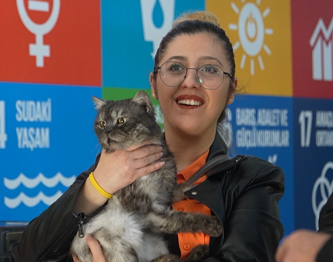 can dostlara sicak yuva 3 5sPZcwzG