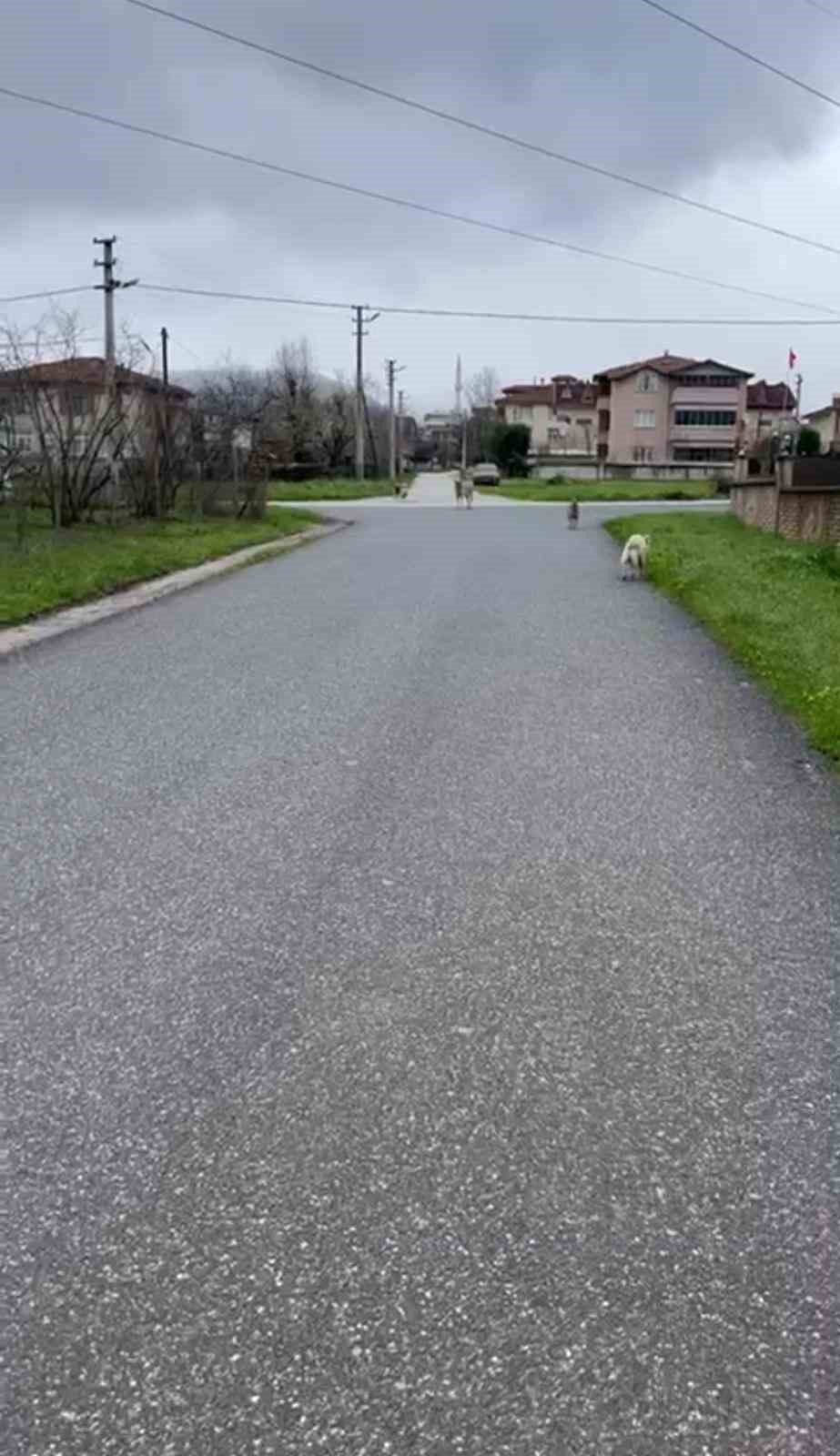 can korkusuyla aldigi kurusiki issizlige sebep oldu 3 JjD9DnKA