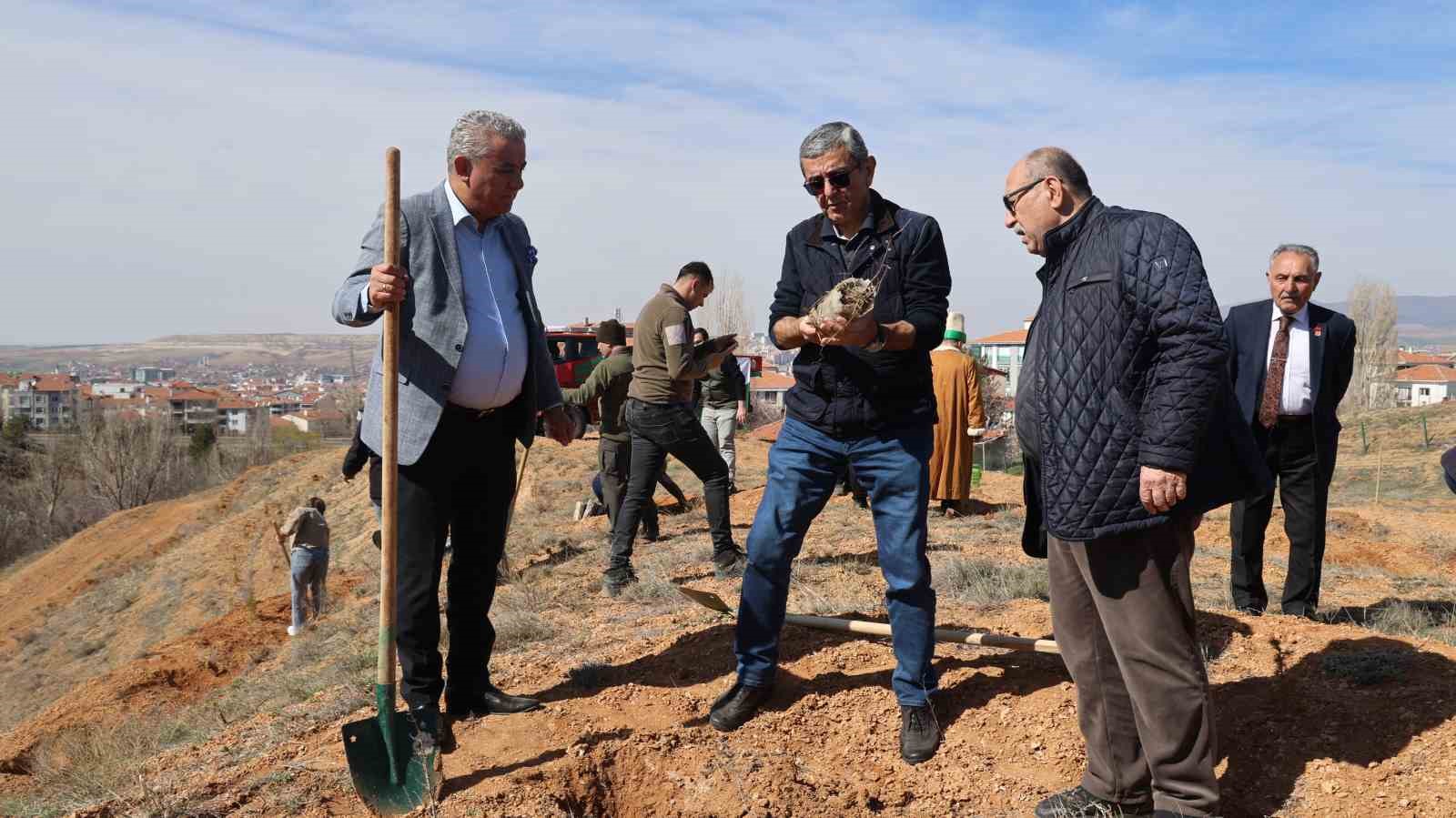 canakkale sehitleri icin 438 fidan toprakla bulustu 3 FPv6cykf