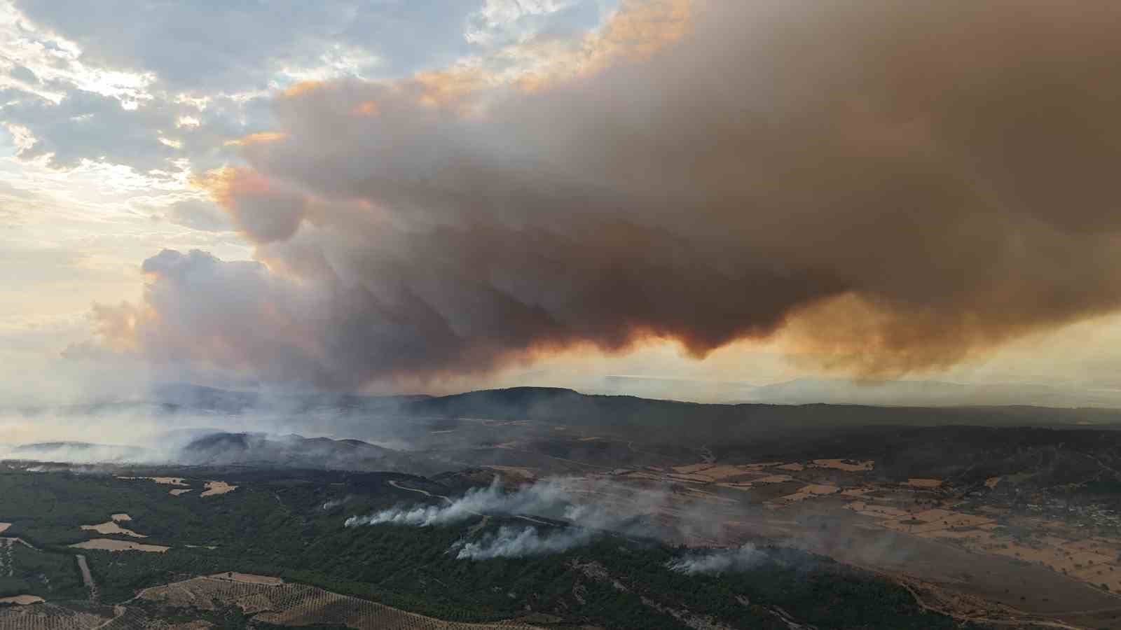 canakkale valiligi uyardi ormana girisler yasaklandi 0 ZfO1Rlr9