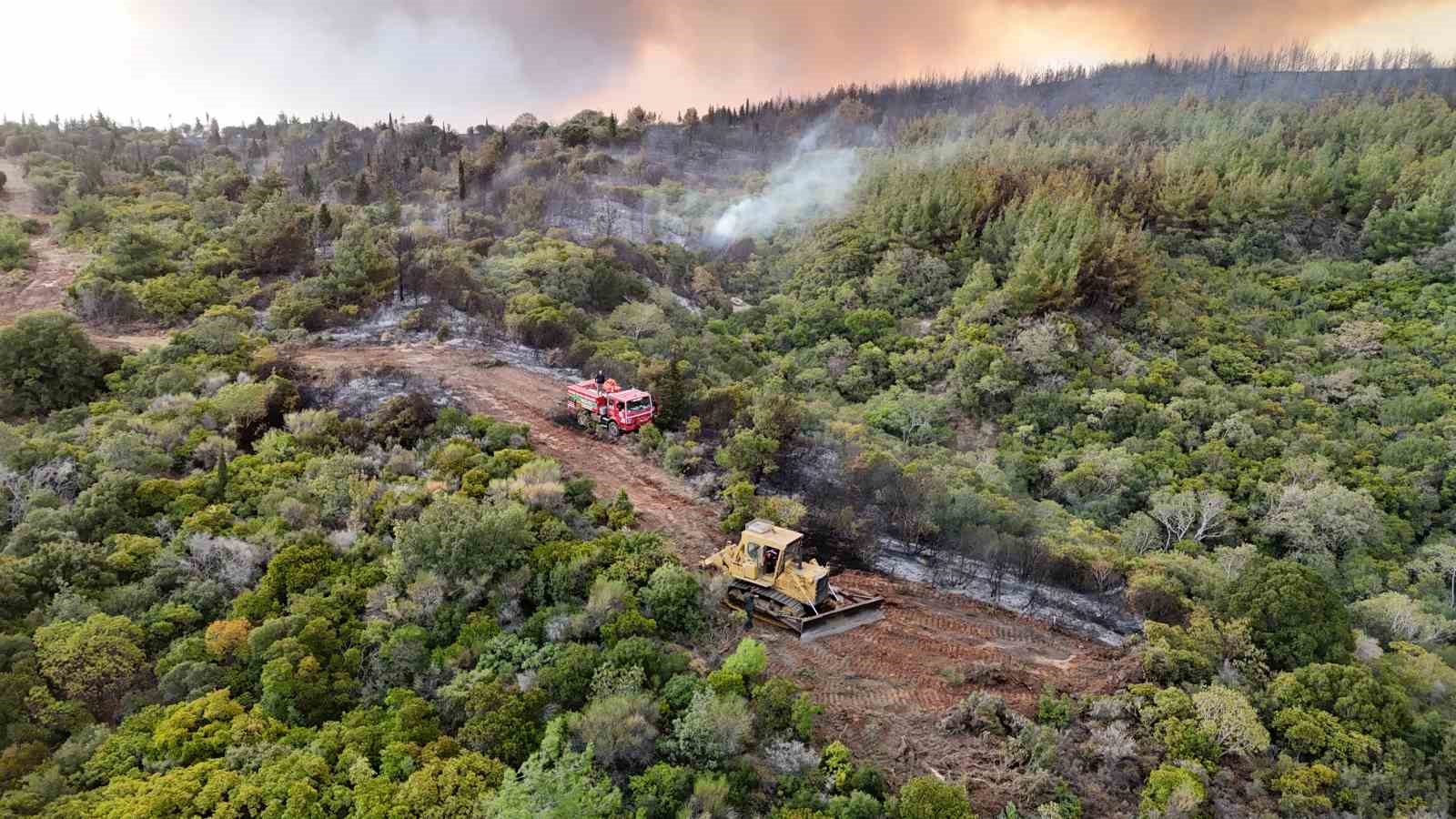 canakkale valiligi uyardi ormana girisler yasaklandi 3 hfaBtKFV